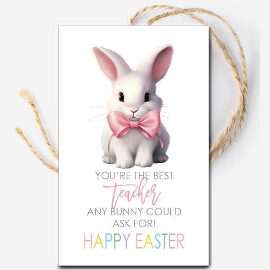 Any Bunny Teacher Instant Download Tag