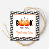 Halloween Tag for Books