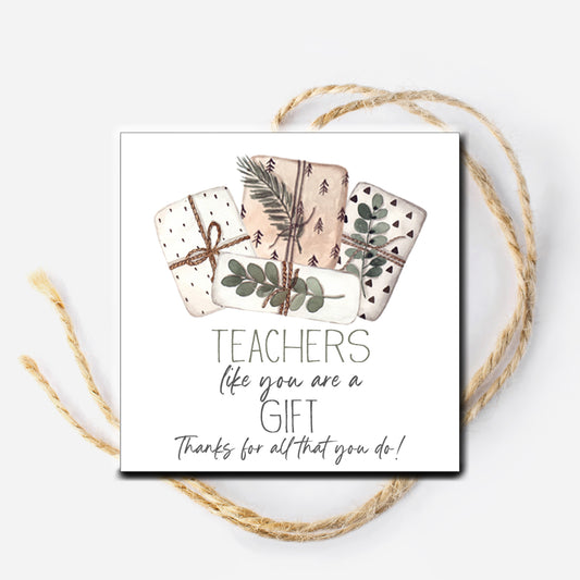 Teachers like you are a Gift Instant Download Tag