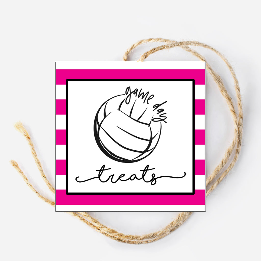 Volleyball Instant Download Tag