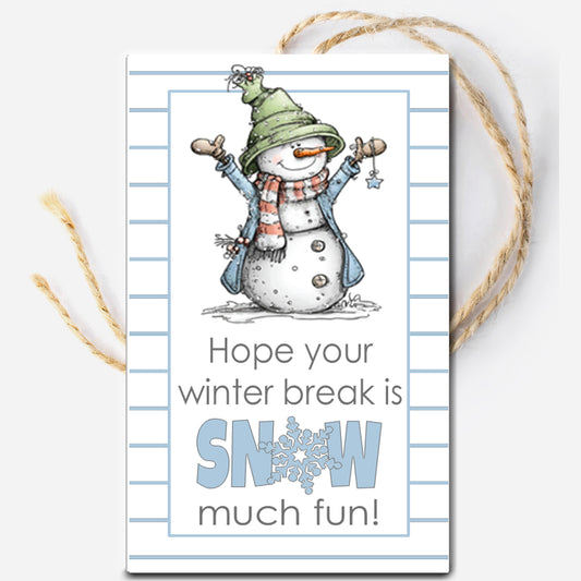 Snow Much Fun Instant Download Tag