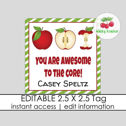 Awesome to the Core Gift Tag