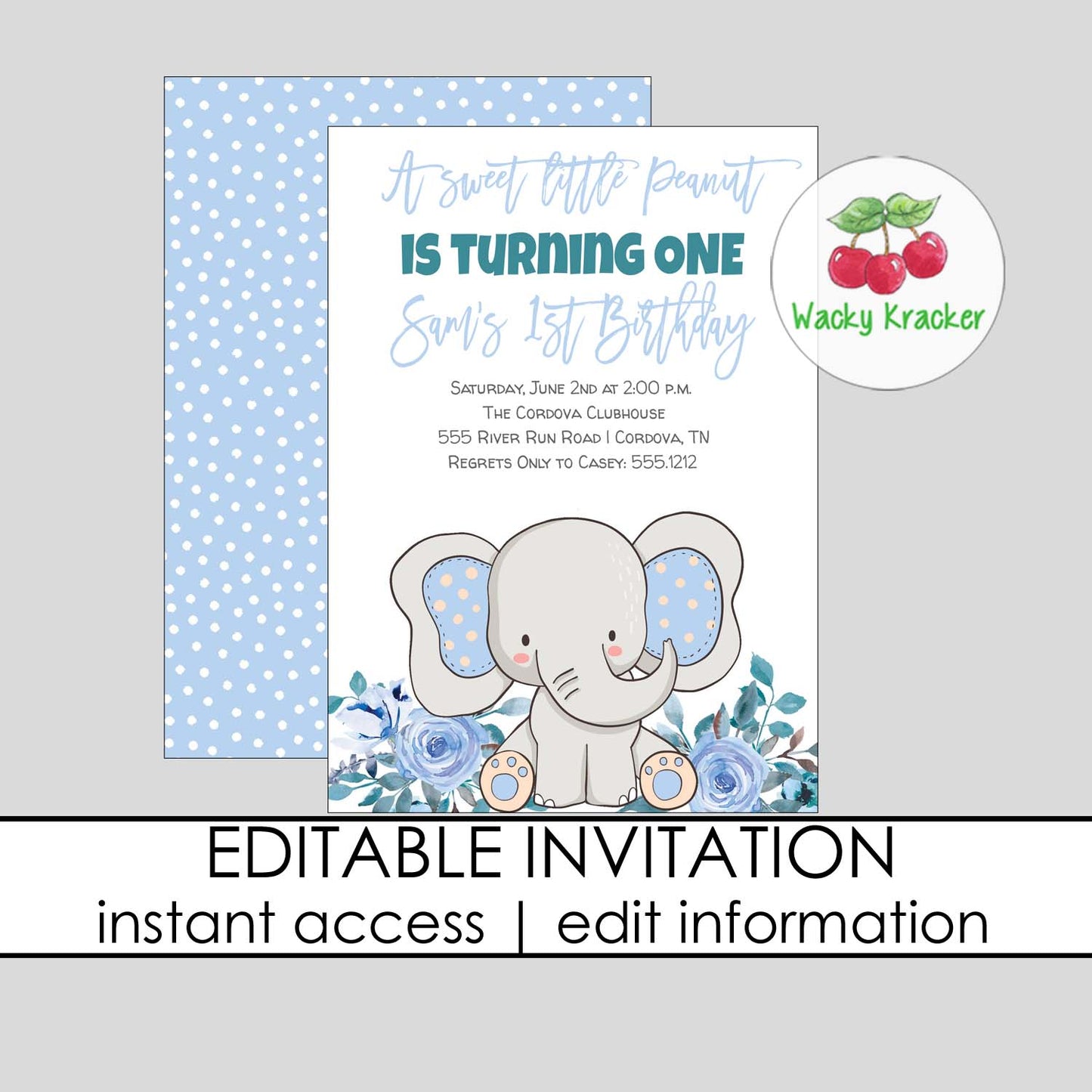 Boy Elephant Birthday Invitation