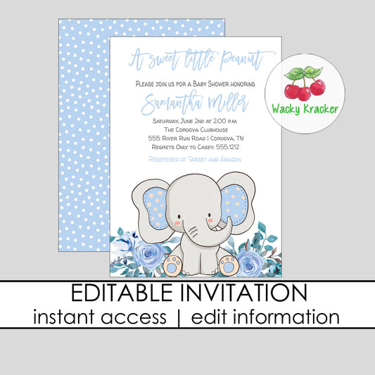 Elephant Boy Baby Shower Invitation