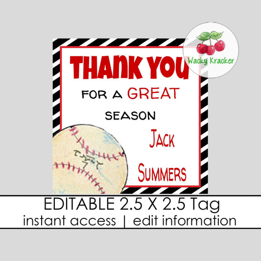 Baseball Gift Tag